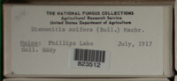 Image Associated With the Occurence